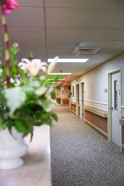Interior hallway with floral arrangement