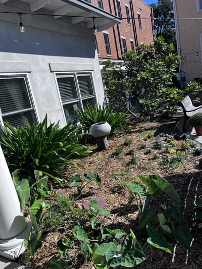 Garden area with plants and landscape features