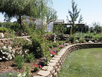 Beautiful garden area with colorful flowers and pathways