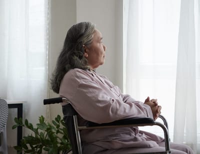 An elderly woman in a wheelchair gazing out the window