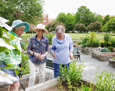 Residents gardening in an outdoor space