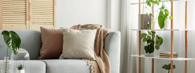 Cozy interior space with a couch and plants
