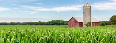 Westside Garden Plaza, Assisted Living in Indianapolis, IN — A red barn surrounded by green cornfields