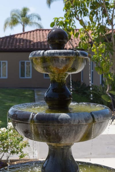 Fountain in the garden with building in the background
