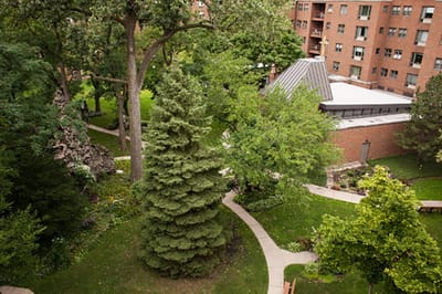 Lush green outdoor space with walking paths and trees