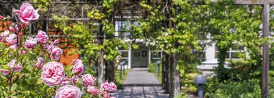 Pathway lined with flowers leading to a building