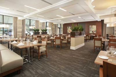 Bright dining room with elegant furnishings