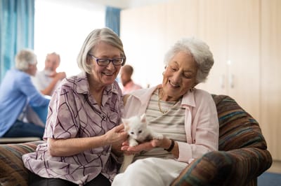 Two residents enjoying time together with a kitten