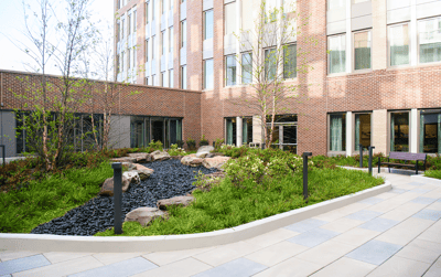 Elegant outdoor garden area with rocks and greenery
