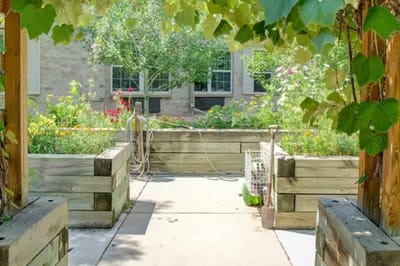 Garden path with flowers and greenery during daylight