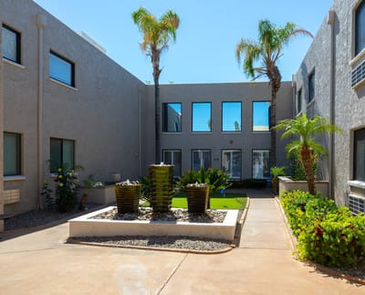 Outdoor courtyard with palm trees and landscaping
