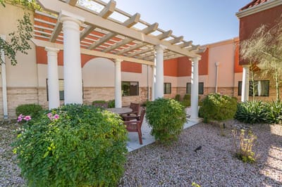 Outdoor seating area with plants and pergola