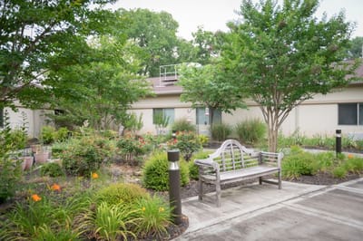 Garden area with bench and greenery