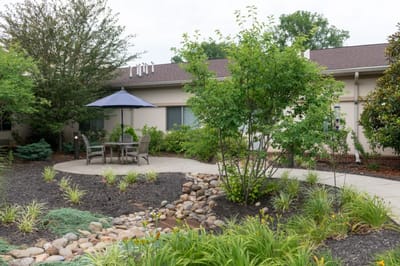 Tranquil outdoor garden with seating and landscaping