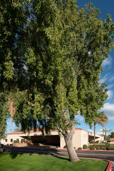 Exterior view of Mi Casa Nursing Center surrounded by trees