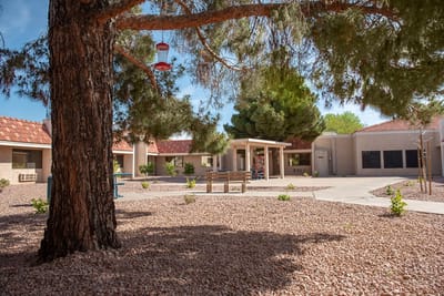 Outdoor courtyard area with seating and trees