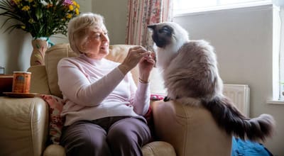 Resident interacting with a cat in a cozy living space