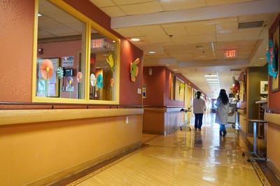 Two staff members walking down a brightly colored hallway