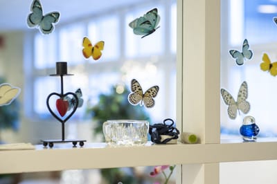 Decorative interior with butterflies and items on a ledge
