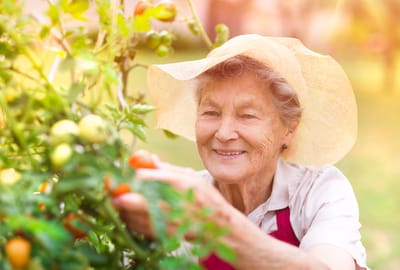 Resident gardening in a sunny outdoor space