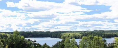 Scenic view of a lake surrounded by trees