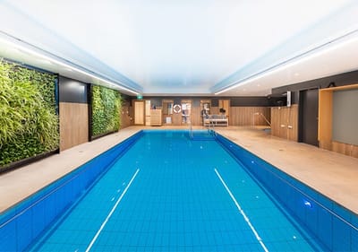 Indoor swimming pool with natural elements