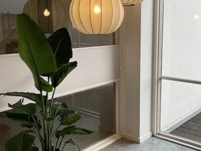 Indoor plant and pendant lights in a common area