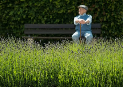 Senior resident sitting in a garden