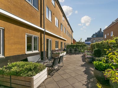 Outdoor seating area with flowers and greenery.
