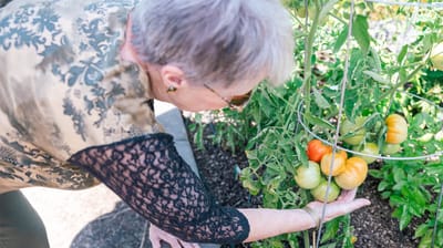 Senior woman participating in gardening activities.