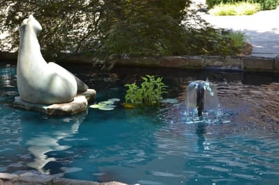 A peaceful outdoor fountain with sculpture