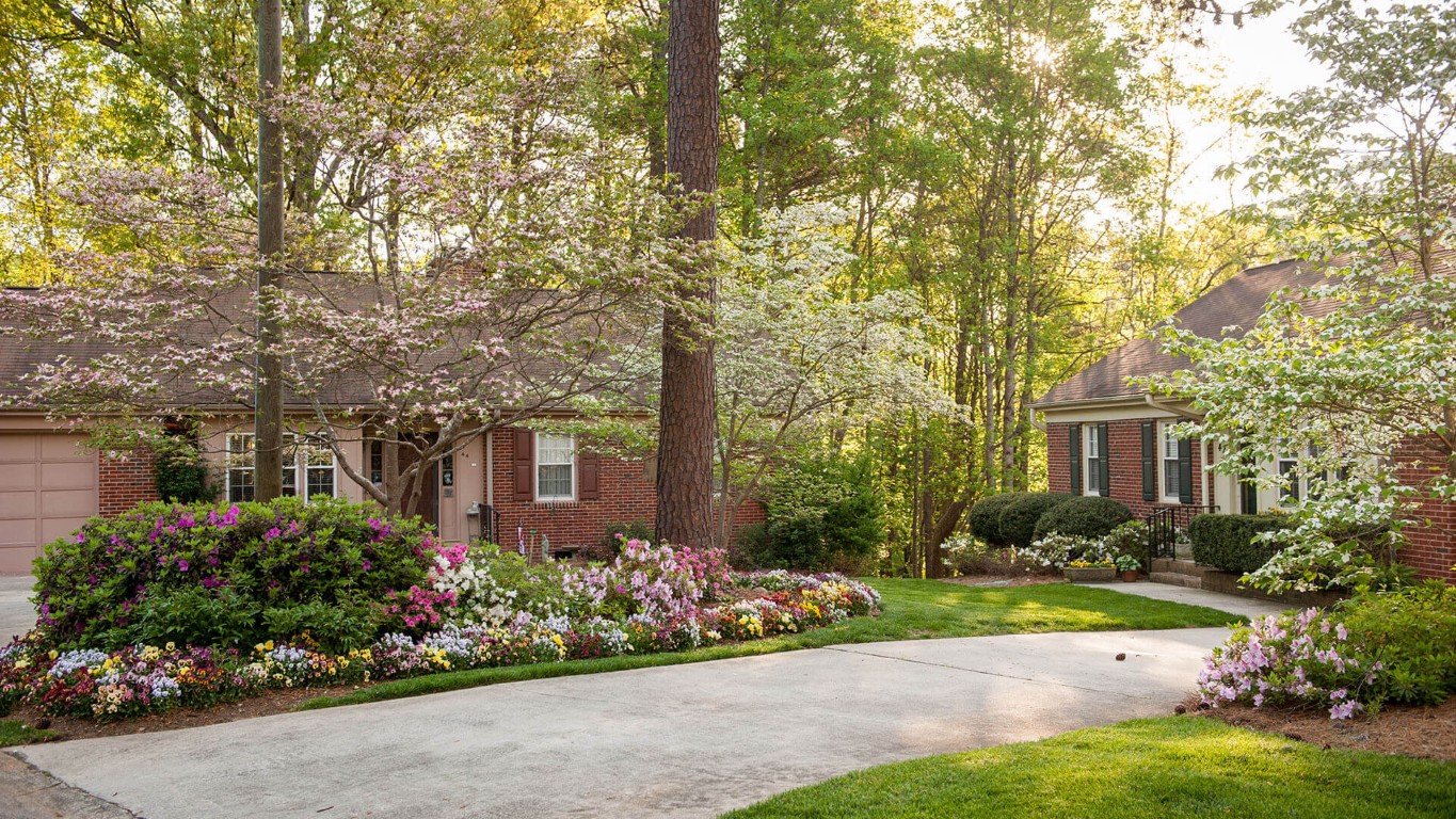 Beautiful landscaped outdoor space with flowering trees and plants