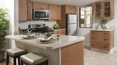 Modern kitchen with countertop and appliances