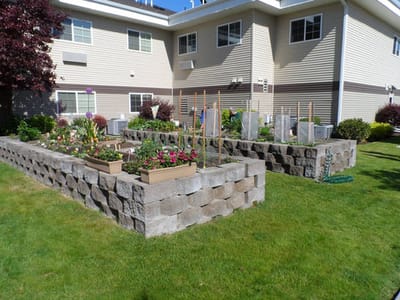 Garden area with flowers and plants outside the facility