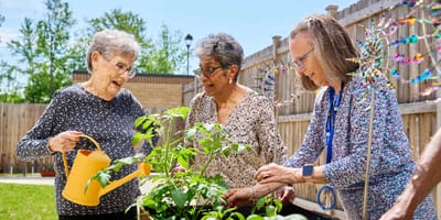 Residents gardening in outdoor space