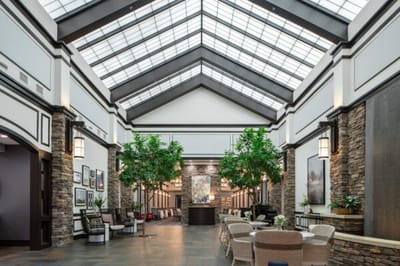 Bright, modern common area with high ceilings and greenery