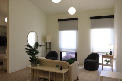 Bright living area with modern furniture and natural light