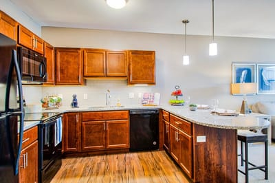 Modern kitchen interior with wooden cabinets