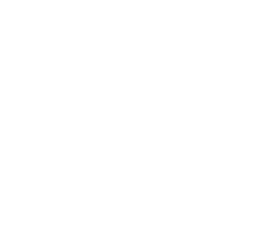 Logo of Diakonissa-laitos on a solid background