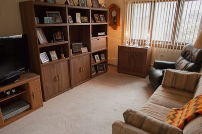 Cozy living room with a sofa and shelves.