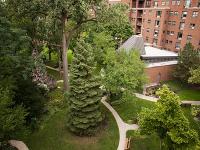 Aerial view of landscaped outdoor space with pathways