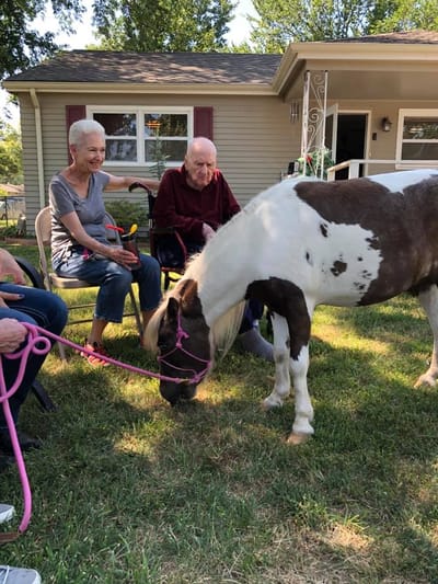 Residents interacting with a small pony in the yard