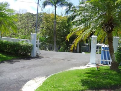Entrance driveway lined with palm trees