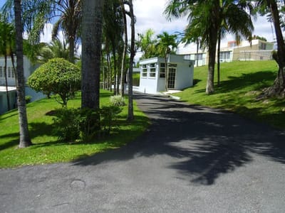 Entrance path leading to the facility surrounded by trees