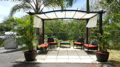 Outdoor seating area with potted plants
