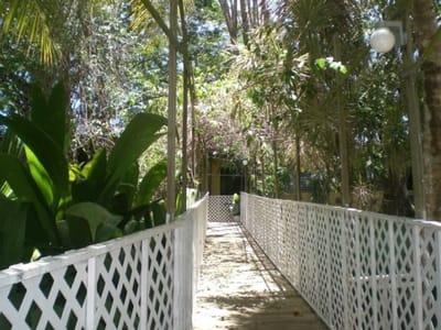 A serene outdoor pathway surrounded by greenery