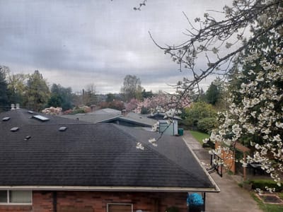 View of assisted living facility with flowering trees