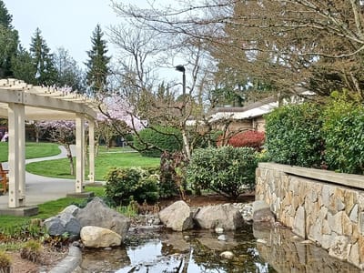 A peaceful garden area with a pond and walking path