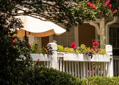 Outdoor patio area with flowers and an umbrella