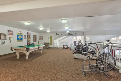 Indoor activity area with exercise equipment and a pool table